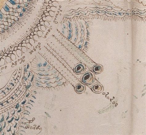 Voynich Manuscript Finally Decoded Medieval Sex Secrets May Hide In Mysterious Text Sciencealert