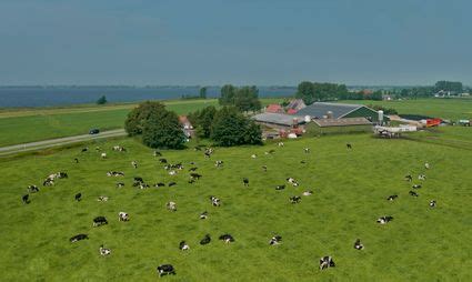 Bekijk Activiteiten En Bezienswaardigheden In Friesland Zien En Doen