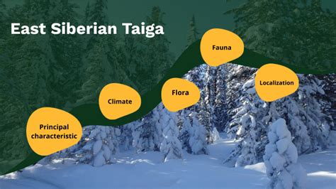 east siberian taiga by carola vega on Prezi