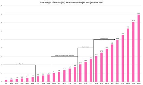 Average Breast Size Chart Age