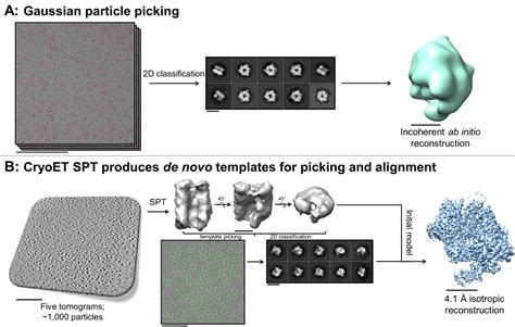 Routine Single Particle Cryoem Sample And Grid Characterization By