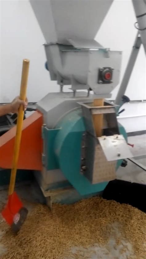 Kg Per Hour Poultry Pellet Feed Machine Automatic Goat Feed Pellet