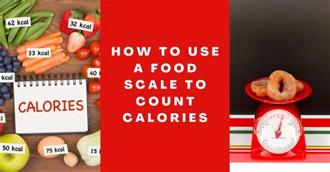 How To Use A Food Scale To Count Calories Specially Fried