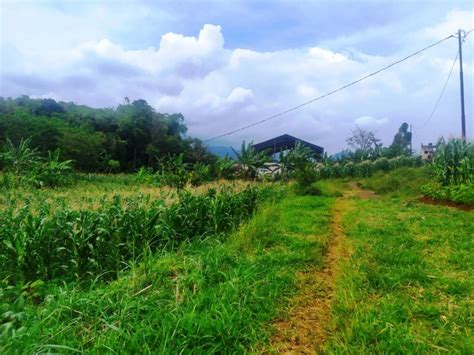 Tanah Shm Dekat Kampus Unpad Cocok Bangun Kostan Investasi