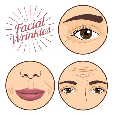 Best Wrinkle Illustrations Royalty Free Vector Graphics And Clip Art Istock