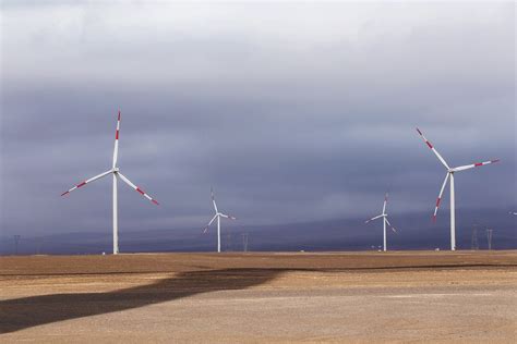 Plantas De Enel Per Establecen R Cords De Producci N