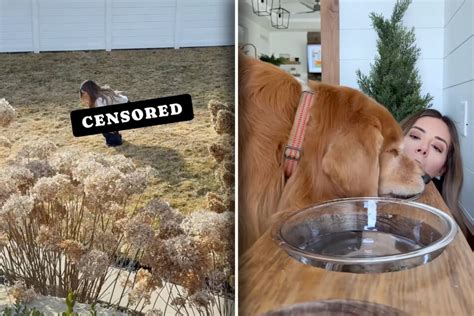 frauchen von golden retriever verhalt sich seltsam grund lasst
