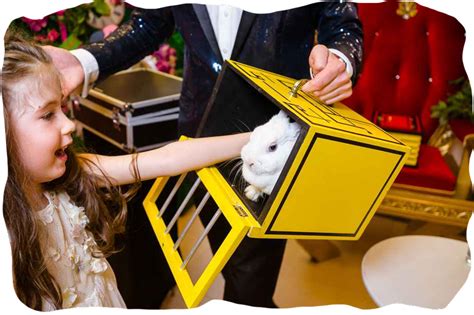 Kids Magic Show NYC's Best Kids' Magic Show | Interactive & Fun
