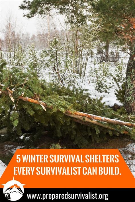 5 Winter Survival Shelters Every Survivalist Can Build | Wilderness ...