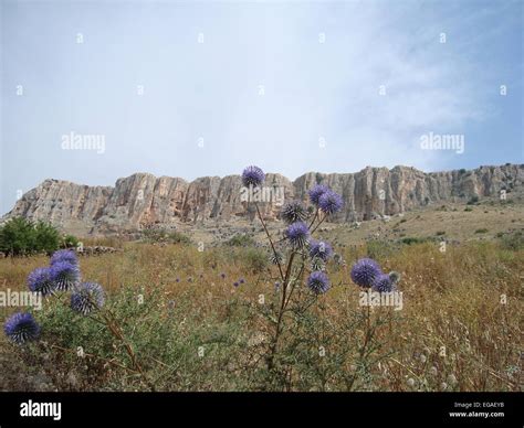 Hiking in Israel Stock Photo - Alamy