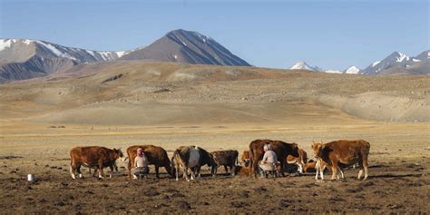 Altai Mountains Mongolia - Panoramic Journeys