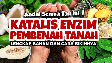 Katalis Enzim Pembenah Tanah Lengkap Bahan Dan Cara Bikinnya Tanaman