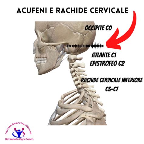 Daniel Di Segni Fisioterapista Cervicale E Vertigini Prezzo Prima Visita 4