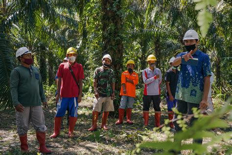 Asosiasi Petani Kelapa Sawit Mandiri Roundtable On Sustainable Palm