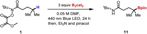 Metal Free Photoinduced Remote C Sp H Borylation Chemical