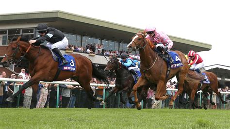 haydock inisherin takes sandy lane stakes  tom eaves  vandeek