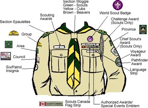 Uniform Layout