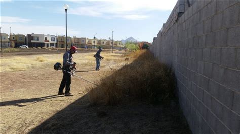 Retira Gobierno Municipal Maleza Y Basura De Espacios P Blicos