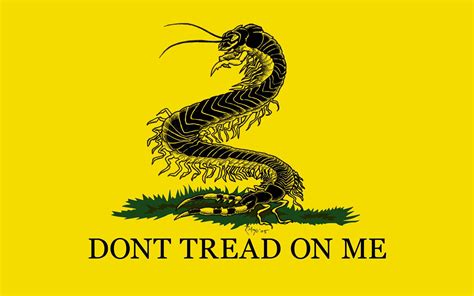 Gadsden Flag Wallpapers - Top Free Gadsden Flag Backgrounds - WallpaperAccess