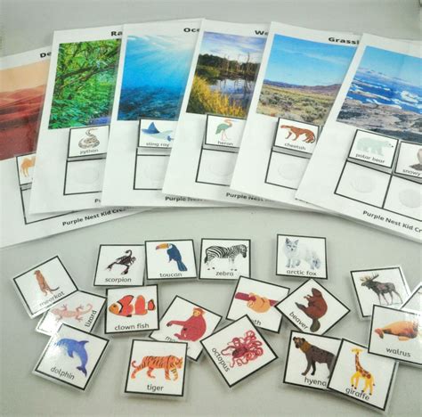 Animals Habitat Sorting Worksheets Habitat Sorting Mats Etsy Uk