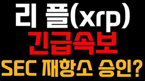 리플코인 전망 Xrp 긴급 속보 Sec 재항소 승인 Youtube