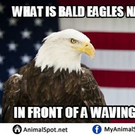 Stream Team America America Fuck Yeah By Sturmultimate Listen Online For Free On Soundcloud