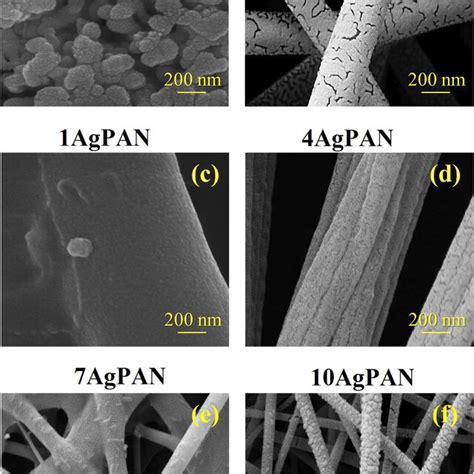 Various High Magnification FESEM Images Of Ag NPs A The External