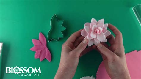 How To Make Fondant Water Lily Flowers Best Flower Site