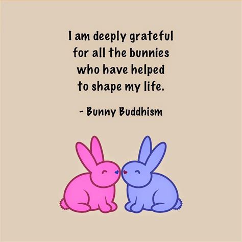 Bipolar Bunny Bunny Buddhism