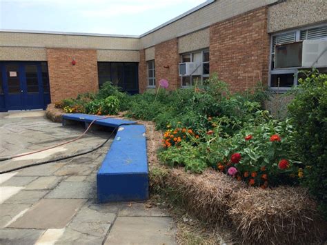 Barnaby Manor Elementary Courtyard Classroom Groundsmith Collective