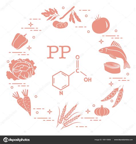 Foods rich in vitamin PP. Stock Vector Image by ©aquamarine.painter ...