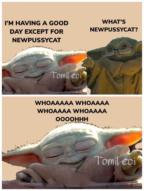 Pin By Norma On Grandson Yoda Funny Grumpy Cat Humor Funny Memes