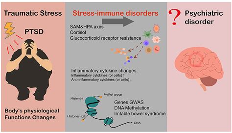 Frontiers The Relationship Between Inflammation And Post Traumatic