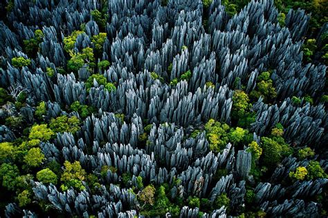 10 Hutan Paling Indah Di Dunia Indonesia Gak Kalah Keren