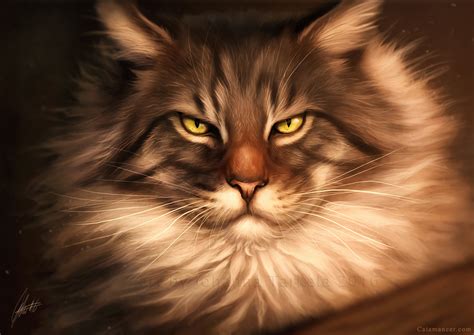 Maine Coon By Lhuin On Deviantart