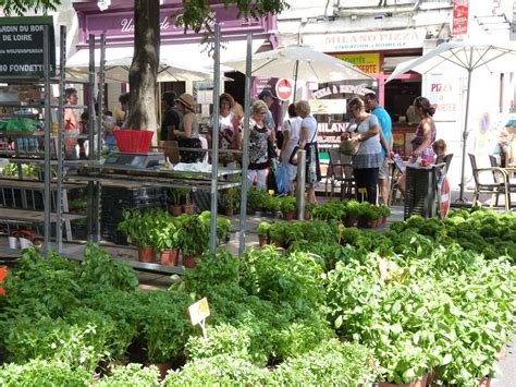 Foire A L ail Et Au Basilic Evènement Tours 37000 adresse horaire