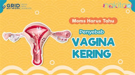 Waspadai Yuk Penyebab Moms Alami Vagina Kering YouTube