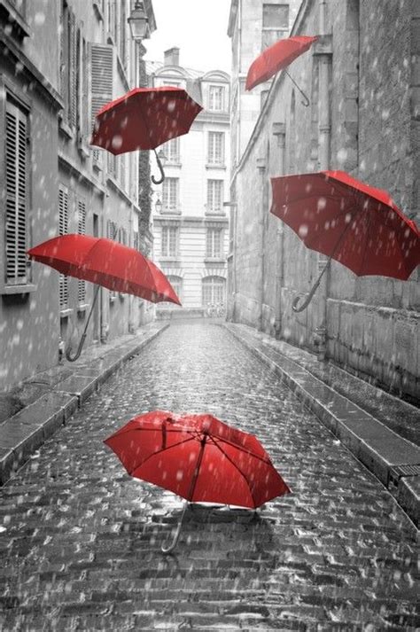 Unique And Utterly Captivating Umbrella Art To Drizzle You With Joy ...