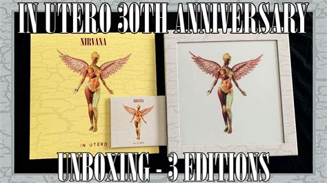 Nirvana In Utero 30th Anniversary Unboxing 3 Editions 2 Cd 12 Vinyl And 5 Cd Super Deluxe