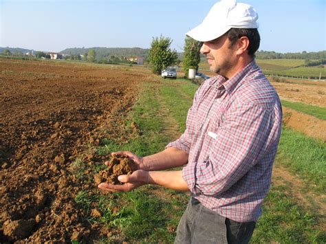 Affitto Terreni Agricoli Cosa Conviene Fare Con La Nuova Pac