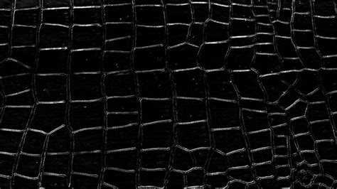 Black Alligator Skin Texture