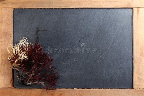 The Seaweed Put On Slate Board Scene Stock Photo Image Of Concept