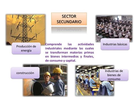 Sectores Productivos