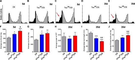 Frontiers Disease Associated Mutant Tau Prevents Circadian Changes In