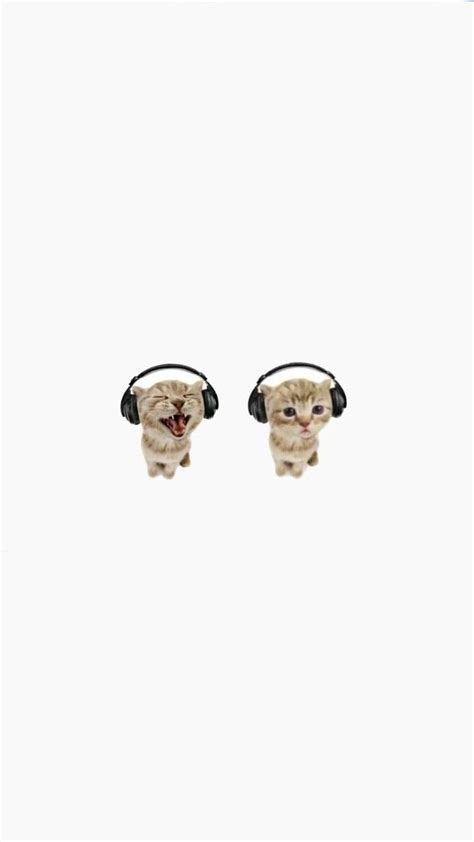 Two Kittens Wearing Headphones Are Standing In The Snow With Their