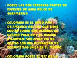 Biodiversidad En Colombia PPT