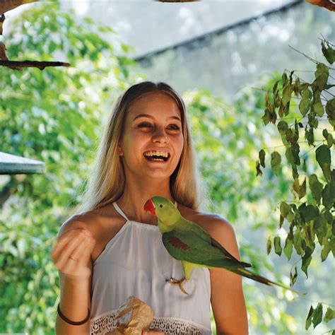 Birdworld Kuranda Village In The Rainforest Open Daily