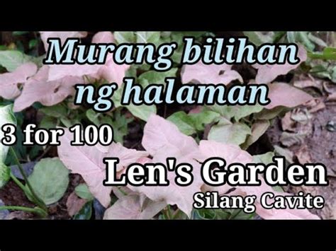 Part1 Plant Shopping Murang Bilihan Ng Halaman Sa Silang Cavite YouTube