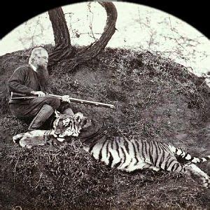 Tiger Hunting in India | AfricaHunting.com