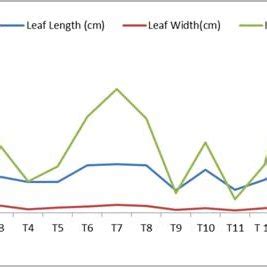 Mean Leaf Length Leaf Width Leaf Area Variations In Various Species